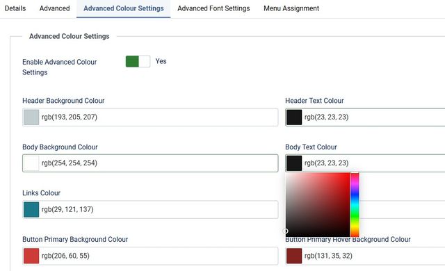 模板自定义功能
