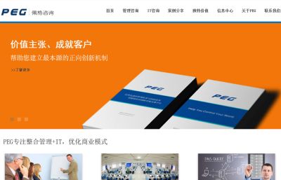 佩格咨询 第二版