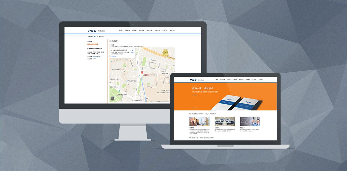 佩格咨询 第二版