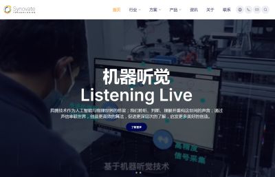 昇腾技术 Synovate