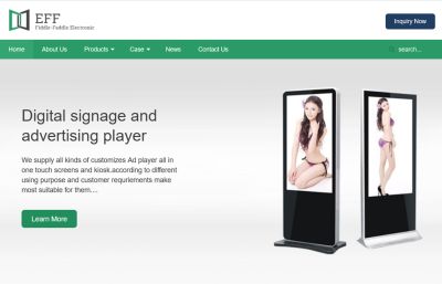 Fiddle-Faddle Electronic