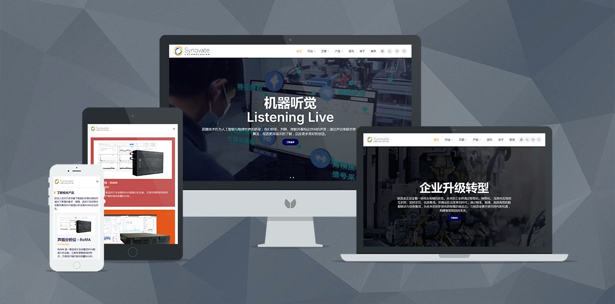 昇腾技术 Synovate